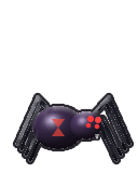 Spiders