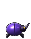 Beetle