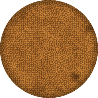 Rice Cracker