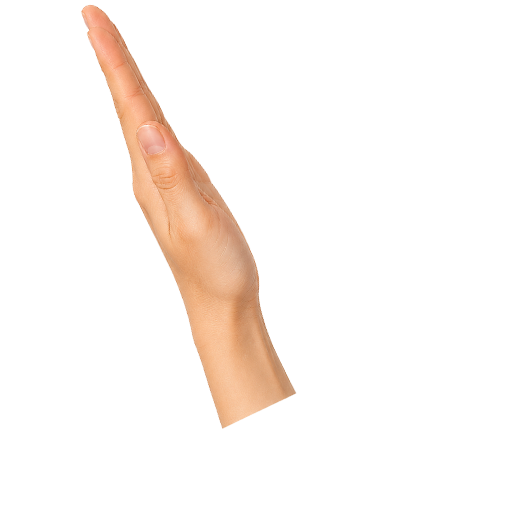 Hand Fan 1