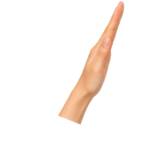 Hand Fan 2
