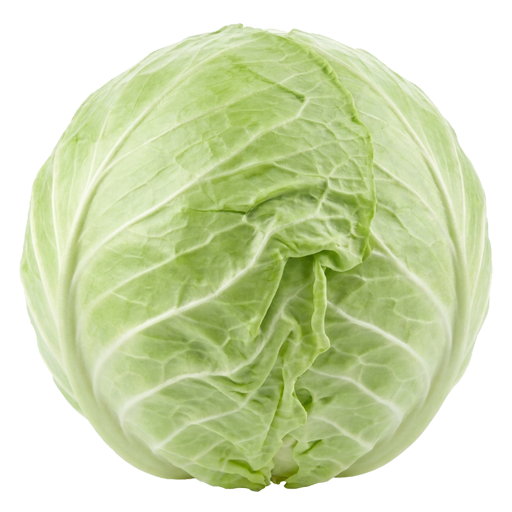 Cabbage