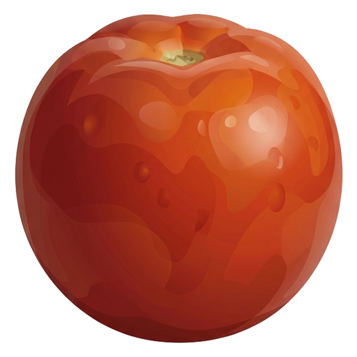 Tomato