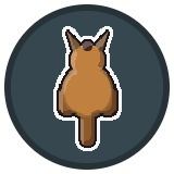 Kangaroo