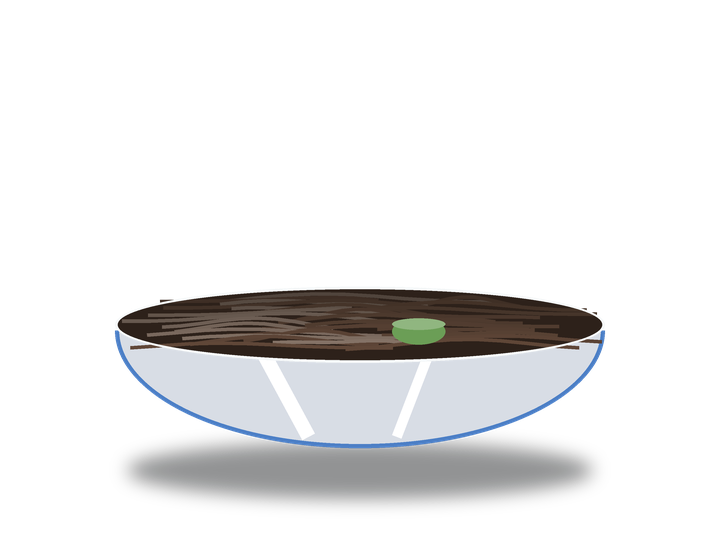 Jajangmyeon