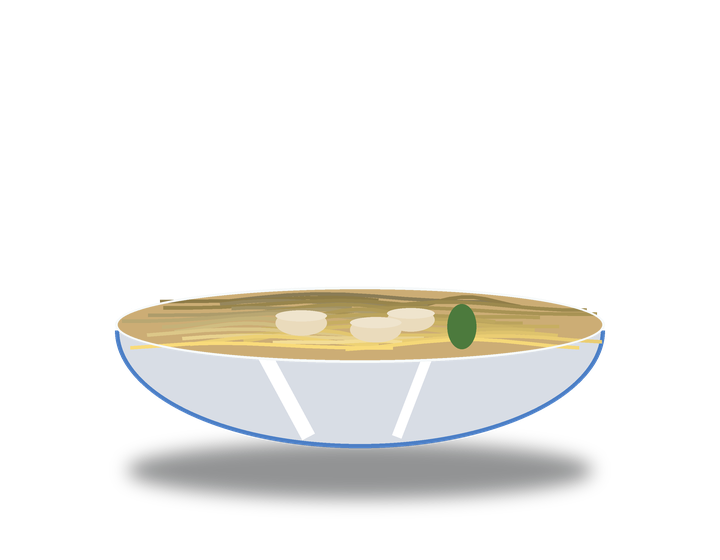 Wonton Noodles